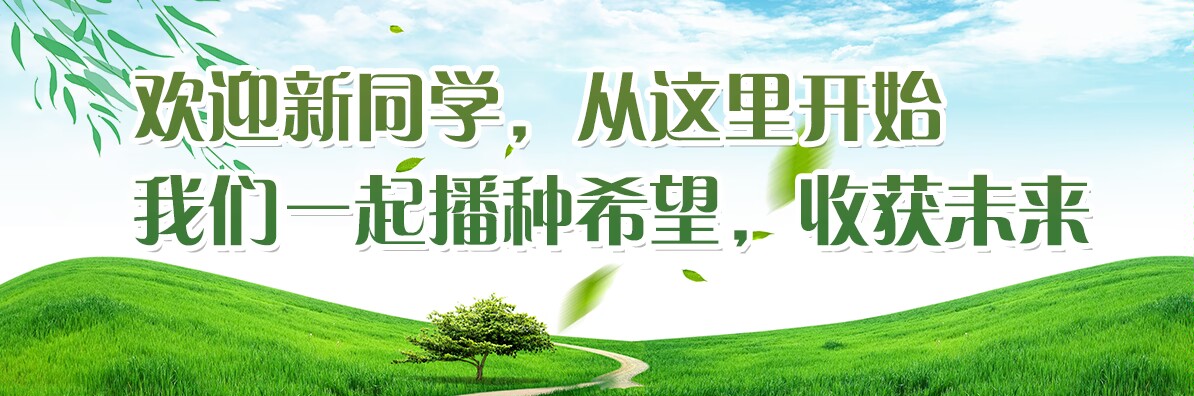 yl6809永利皇宫