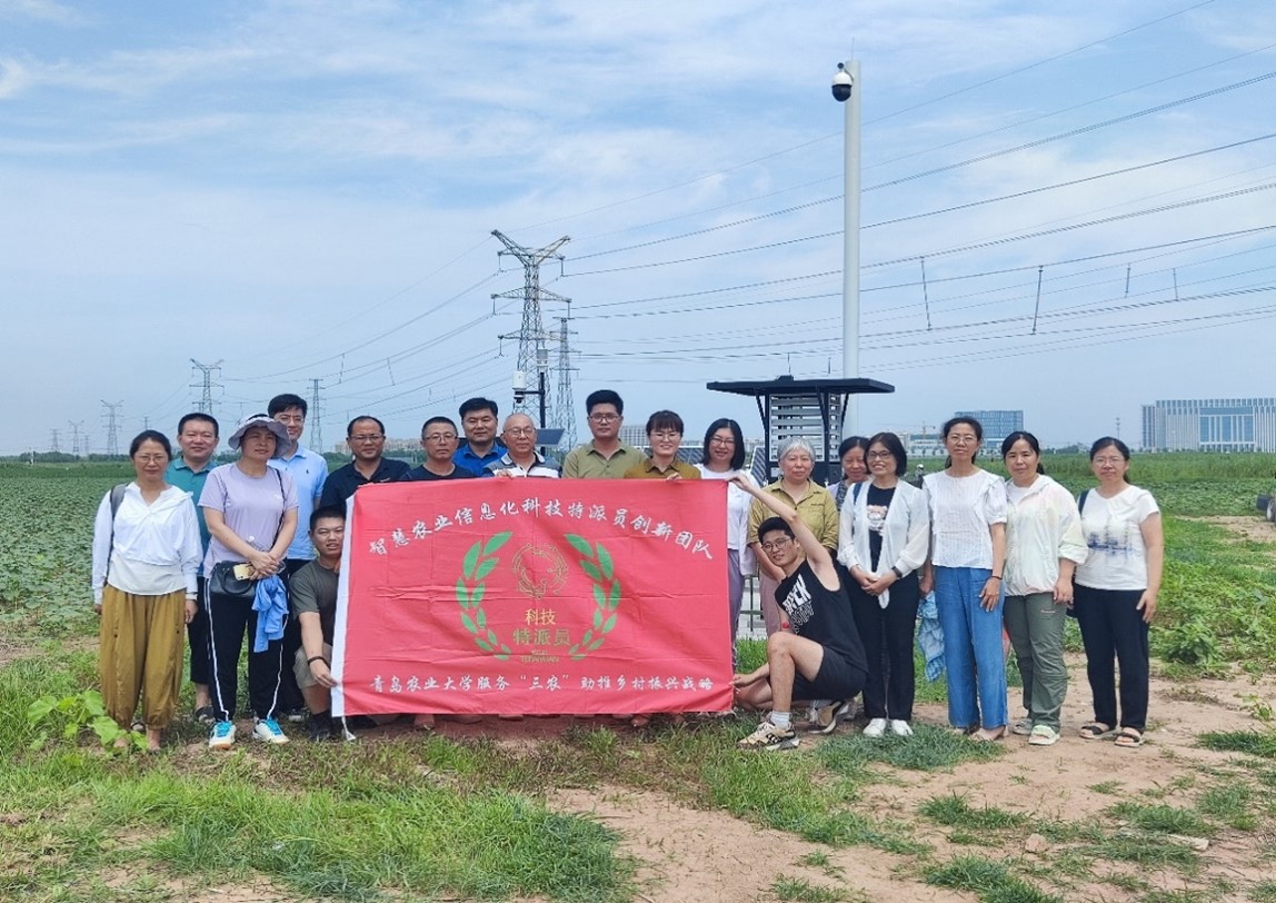 yl6809永利皇宫