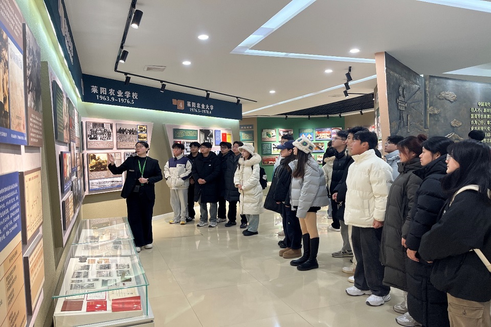 yl6809永利皇宫