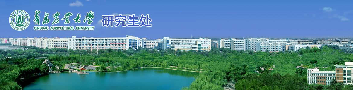 yl6809永利皇宫